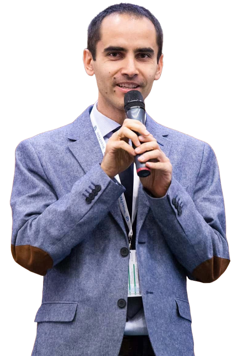 Marius Vetrici Ai Consultant